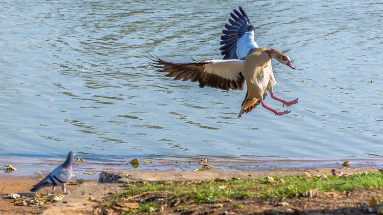 Zapari Bird Park