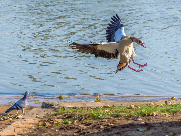 Zapari Bird Park