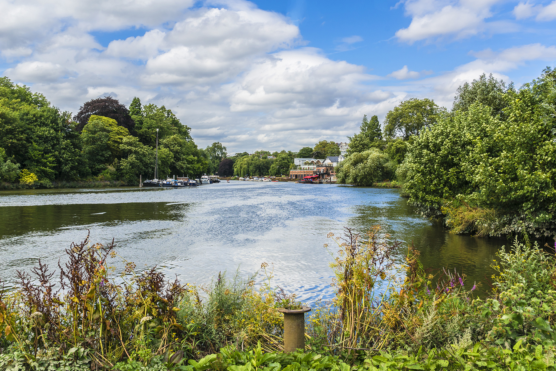 Londoners want to stop more pollution of the Thames with sewage