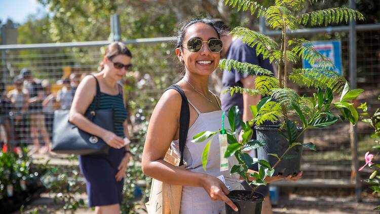 Person carrying a tree in a pot.