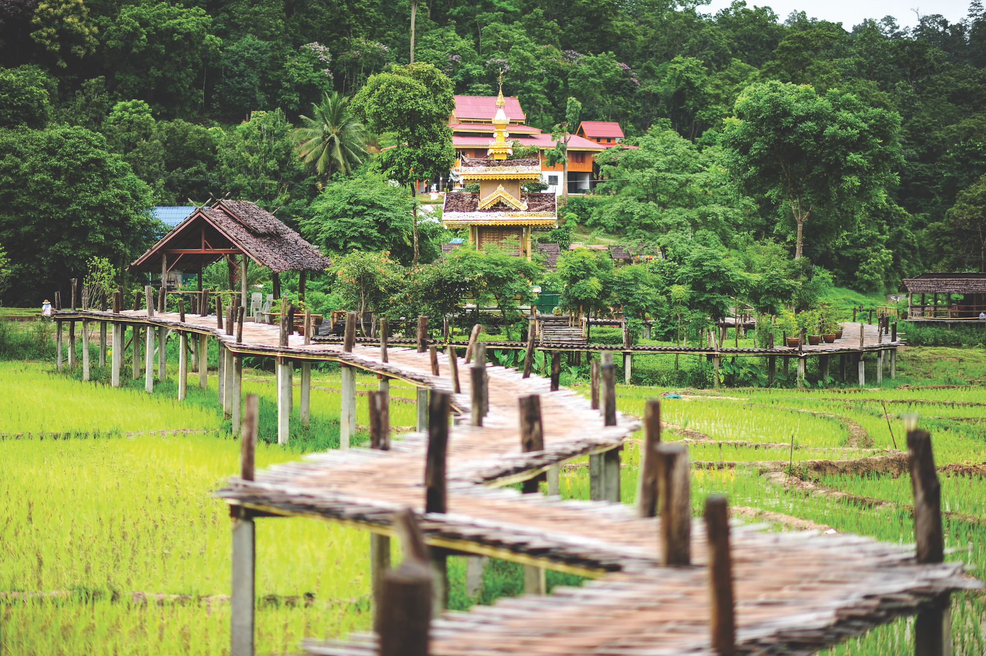 The best things to do in Pai, Thailand