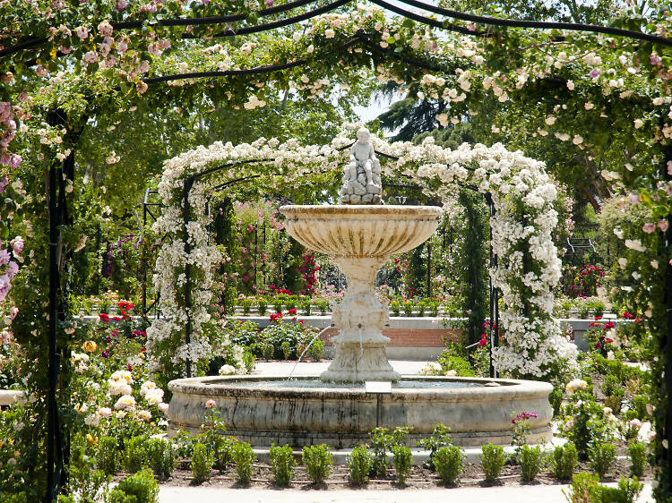 Descubrir la rosaleda escondida del Retiro