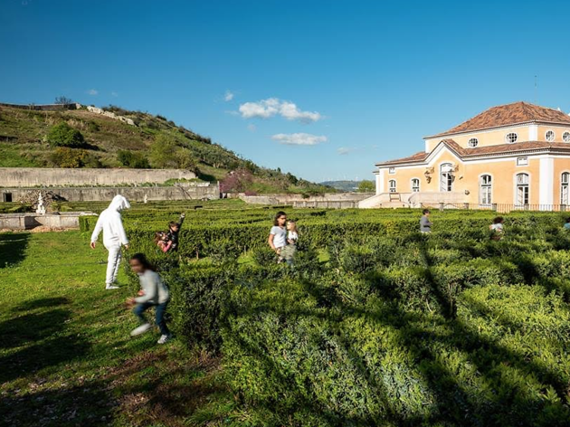 Caça aos ovos Coolture Tours Caça aos ovos Coolture Tours