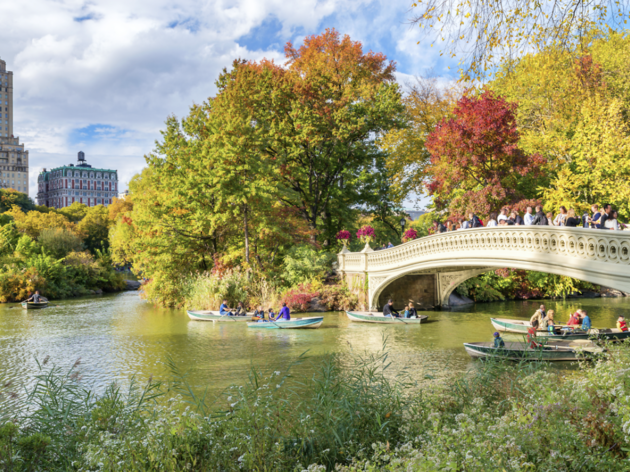 17 Best Nyc Parks To Enjoy On Beautiful Sunny Days