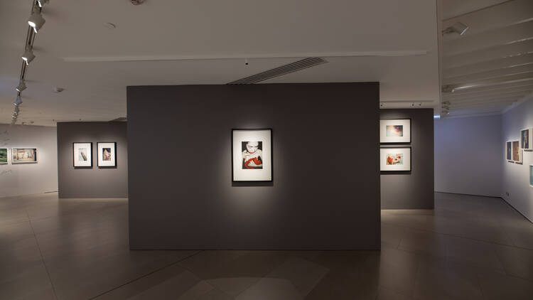 Installation shot of Chen Zhe’s 'The Bearable' and 'Bees' series. Photograph: Supplied