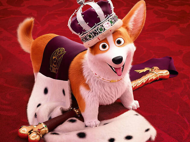 Corgi: Un perro real Corgi: Un perro real