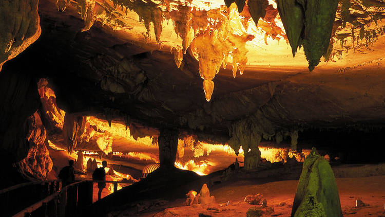 Explore spectacular caves at Gunung Mulu National Park 