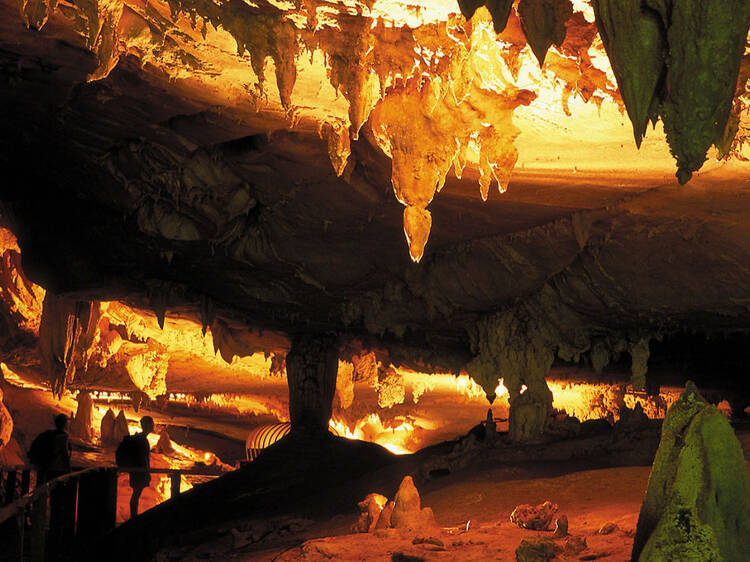 Explore spectacular caves at Gunung Mulu National Park 