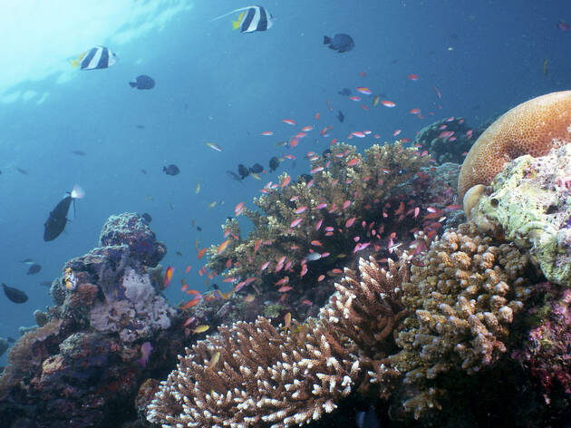 Sipadan Sipadan