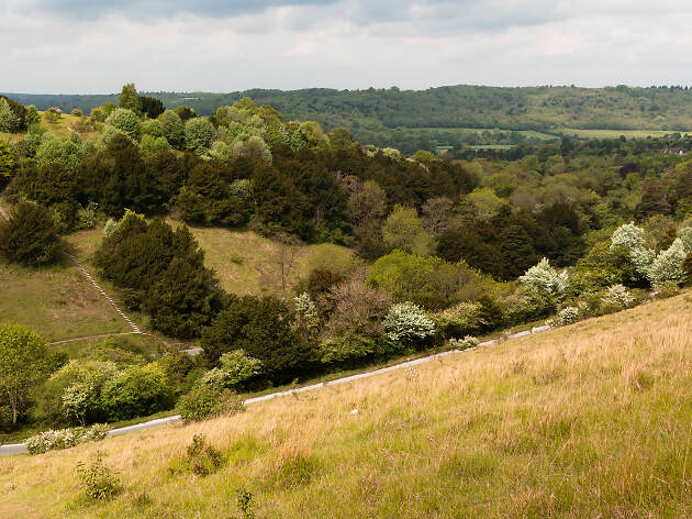 Box Hill, Dorking Box Hill, Dorking