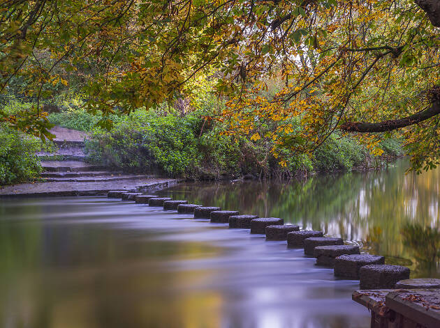River Mole at Box Hill, Dorking, UK River Mole at Box Hill, Dorking, UK