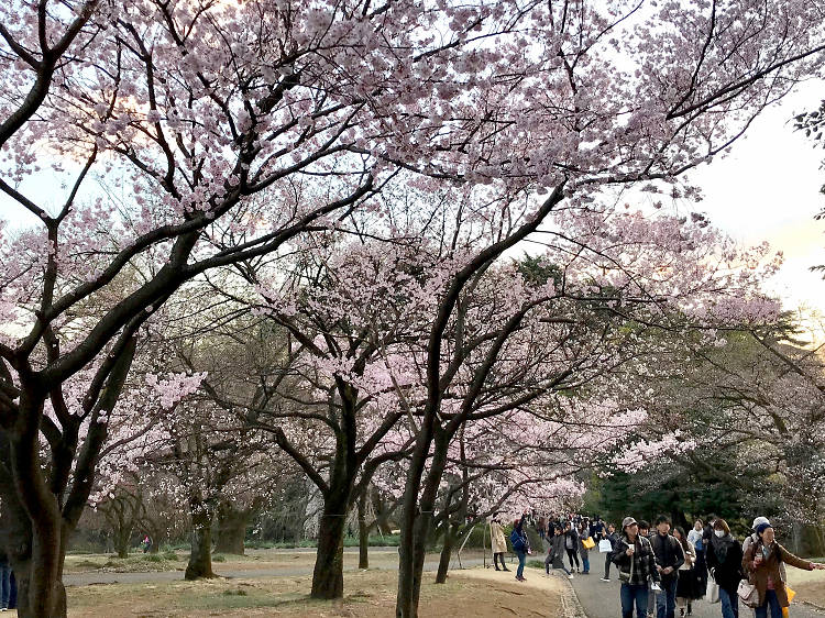 新宿御苑