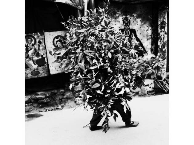 薄井大還写真展「天と地の境で」-ダライ・ラマの住む頂き- 薄井大還写真展「天と地の境で」-ダライ・ラマの住む頂き-