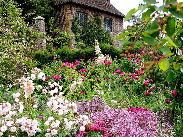 Frolic through wild flowers at Sissinghurst Castle in Kent