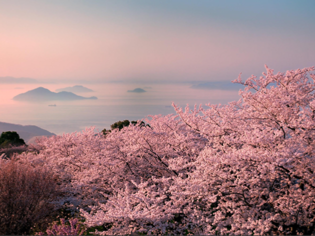 瀬戸内国際芸術祭2019 瀬戸内国際芸術祭2019