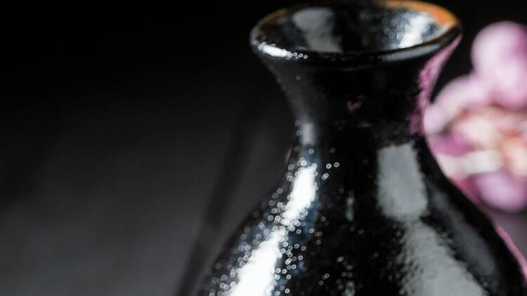 Sake Spring Sake Tasting – Spring Festival | Things to do in Tokyo