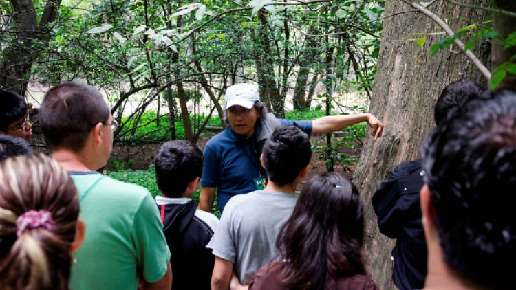 Exploradores de Chapultepec