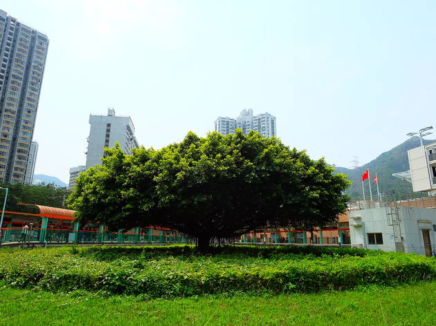 田景大樹 田景大樹