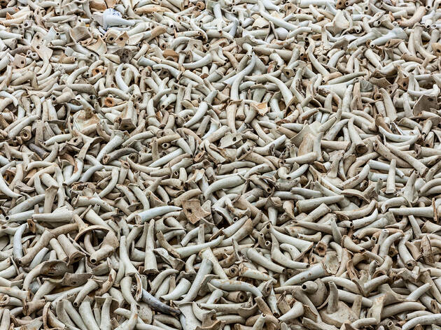 (Boquillas—Set of Spouts, 2004 Fotografía: © Ai Weiwei Studio)