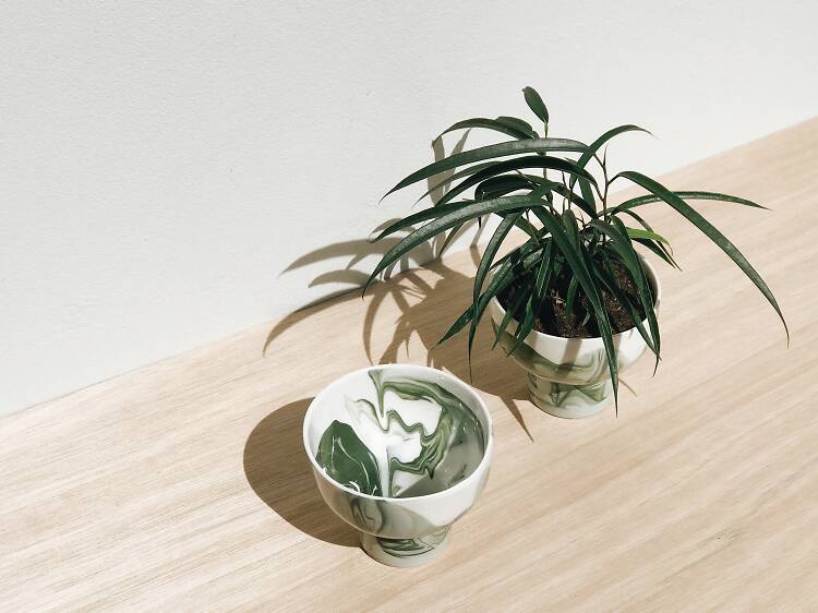 indoor potted plants bowls ceramics
