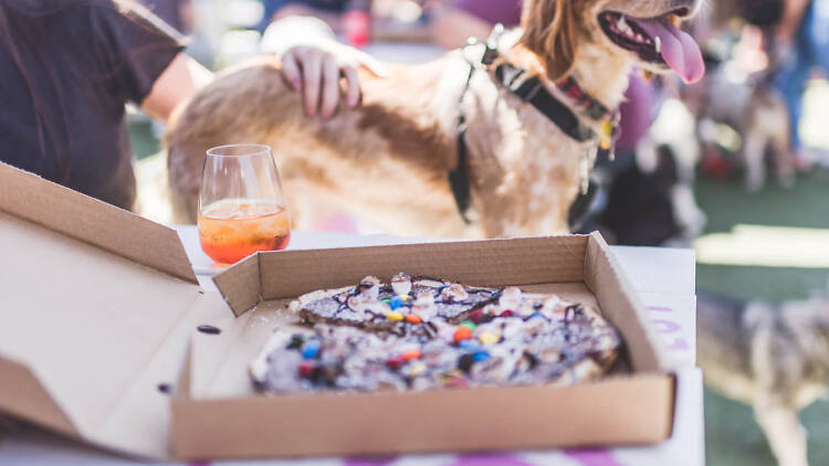 The Ascot Lot dog and food