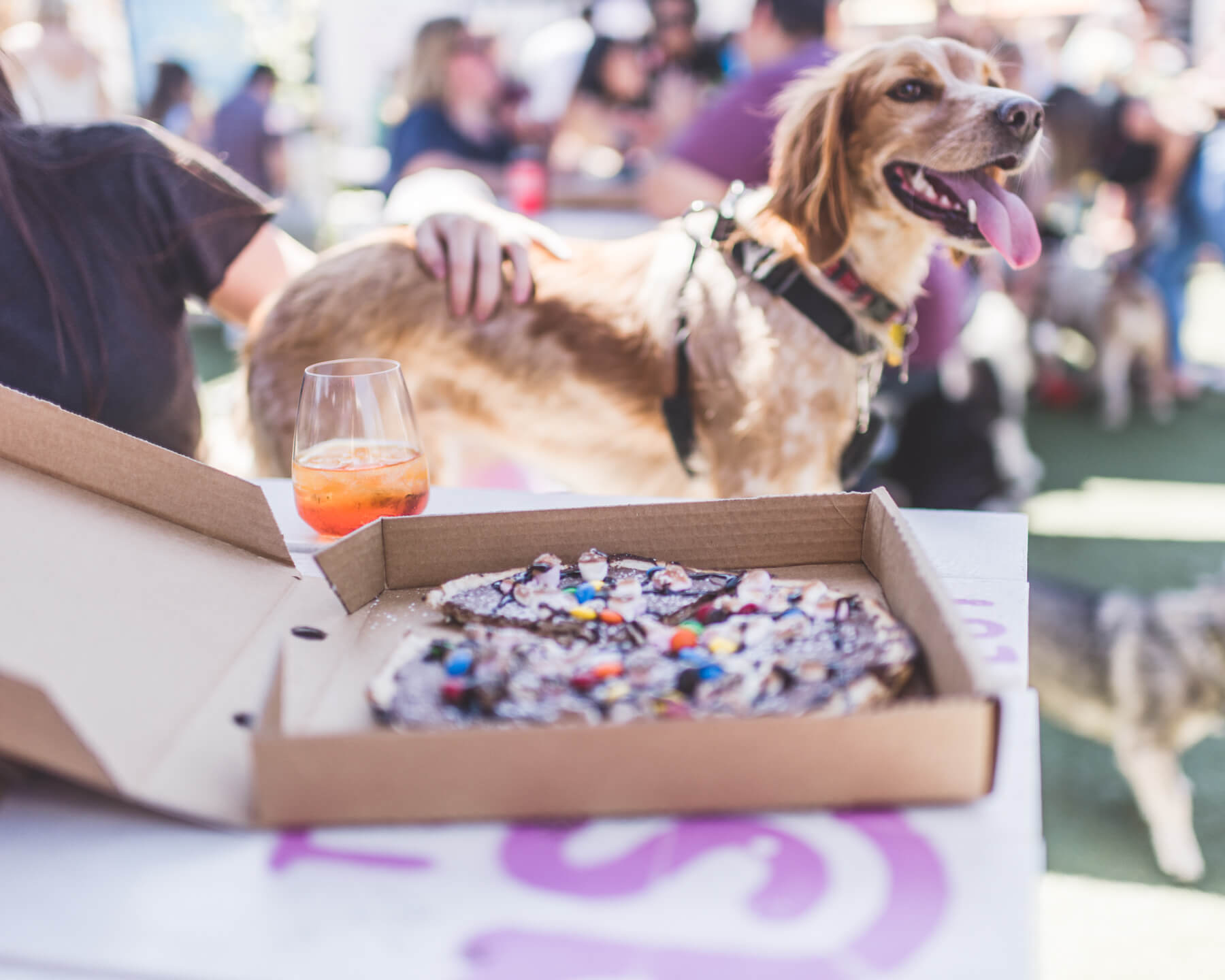 Stomping Hounds and Sour Beer Fest Things to do in Melbourne