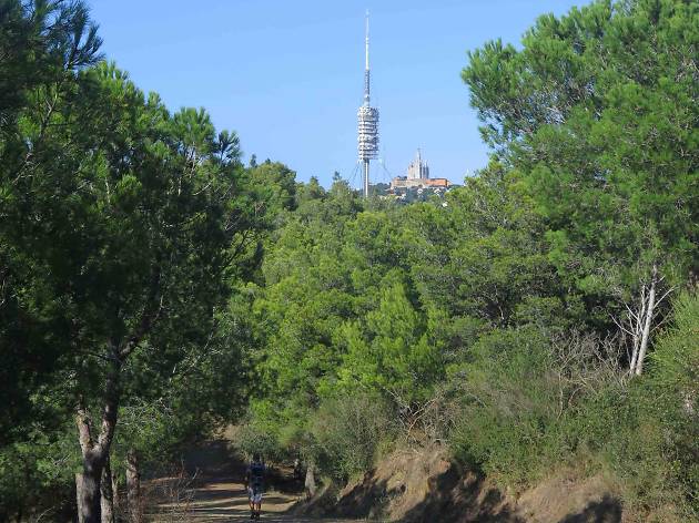 Collserola Collserola