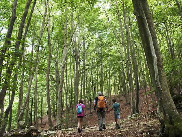 Santa Fe del Montseny Santa Fe del Montseny