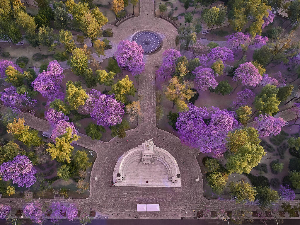 Los mejores eventos en marzo 2026 en la CDMX