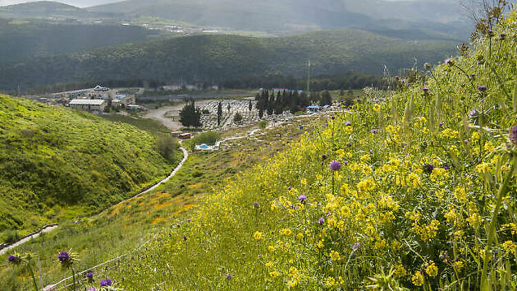 Khan Hagalil, Western Galilee 