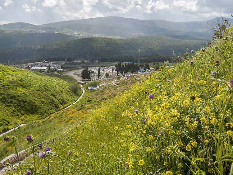 Khan Hagalil, Western Galilee 