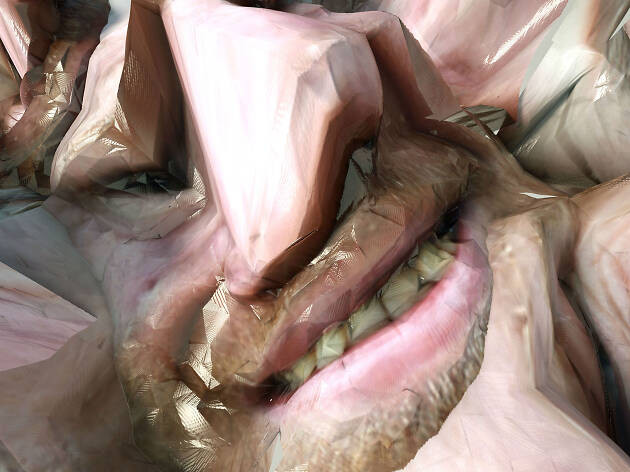 Aphex Twin Aphex Twin por primera vez en México