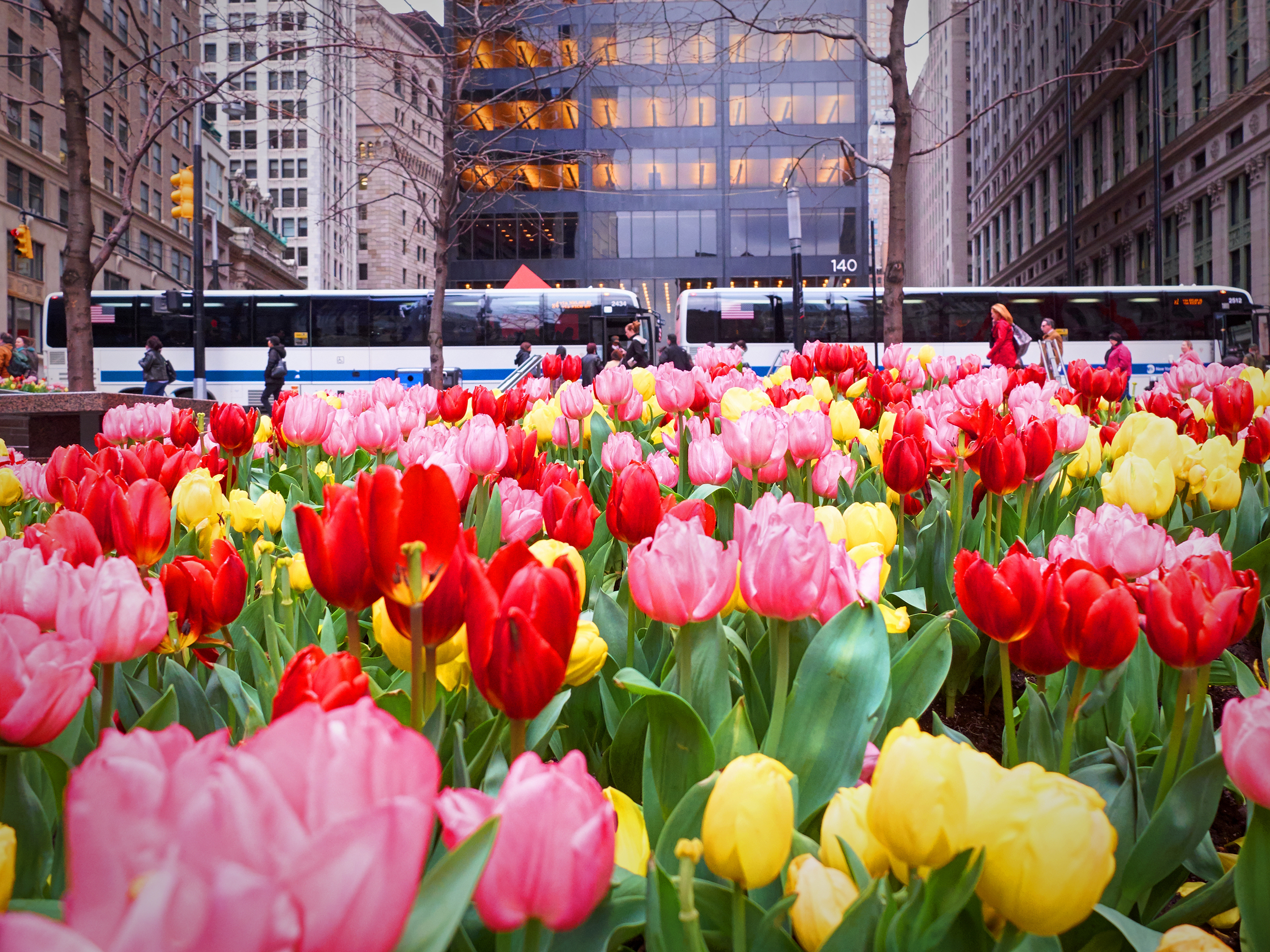 Enchanting Gardens In Nyc Plus Secret Gardens Around The City