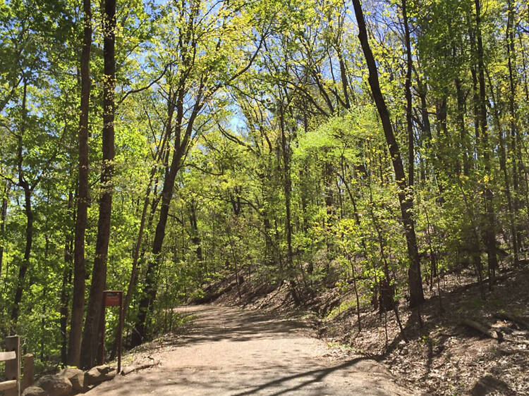 Kennesaw Mountain National Battlefield Park