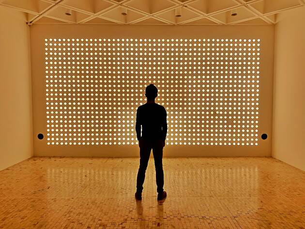 Carsten Höller Exposición de Carsten Höller sunday en el Museo Tamayo