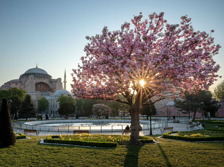 Istanbul, Turkey