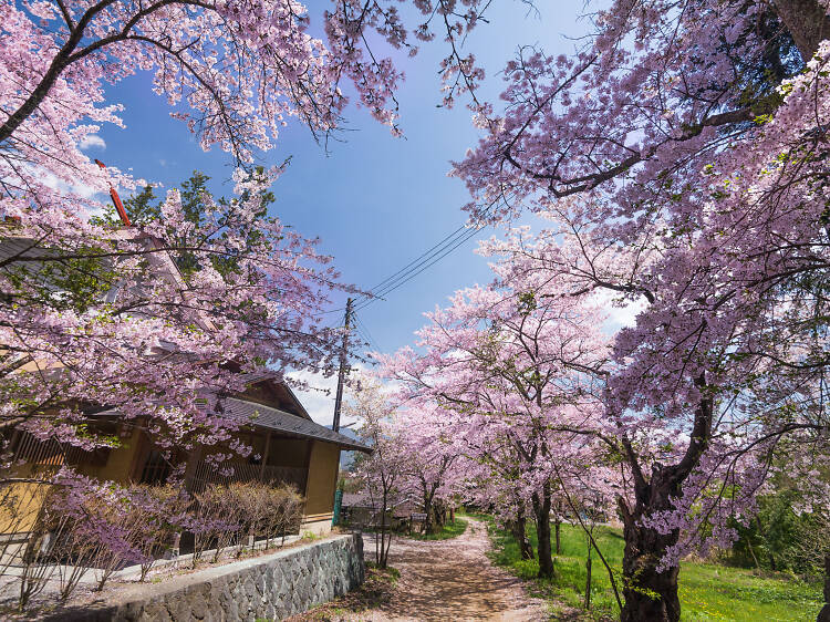 Sapporo, Japan