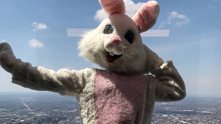 Easter Bunny Skydeck Chicago