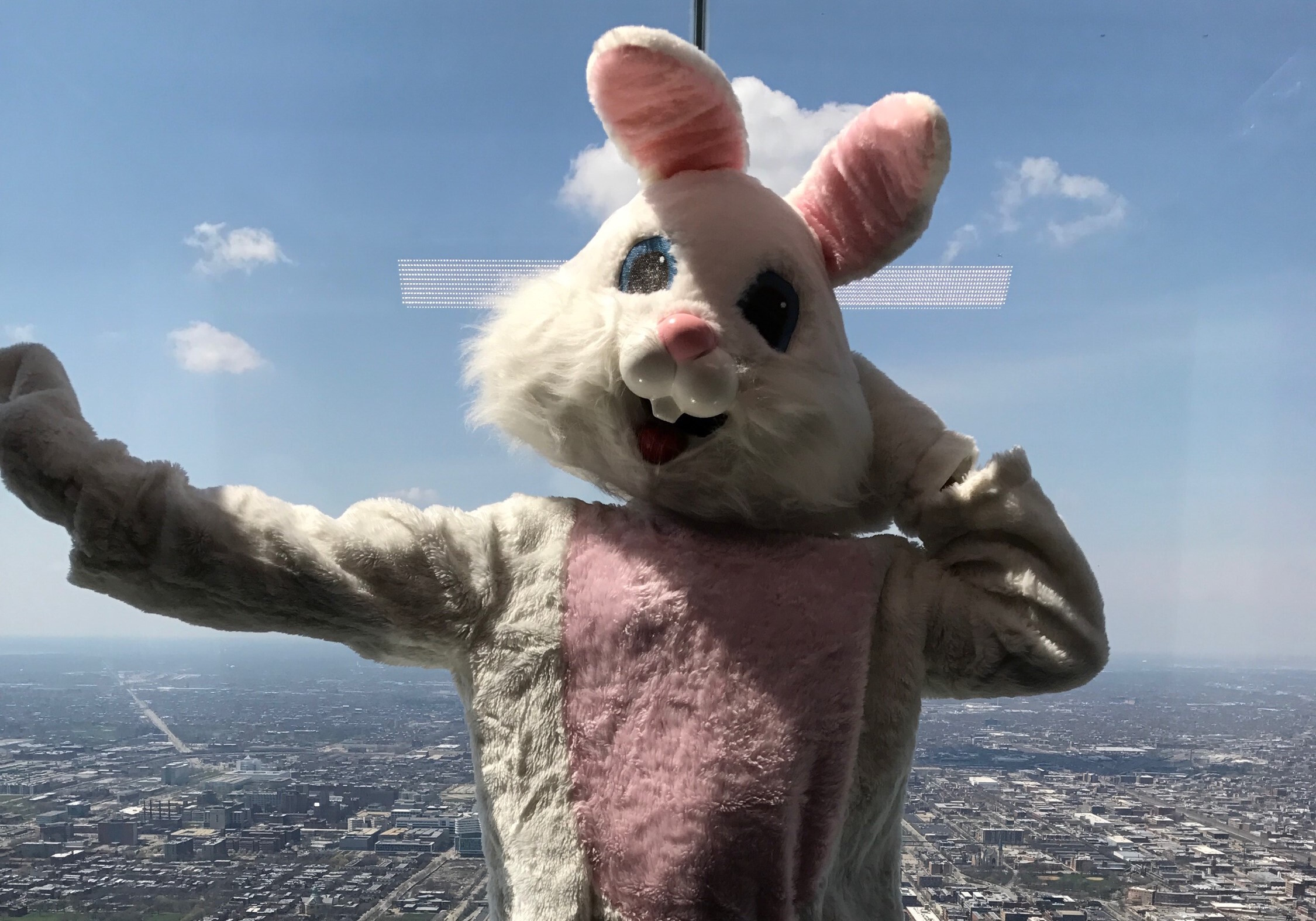 Easter Bunny Visits Skydeck Chicago | Kids in Chicago