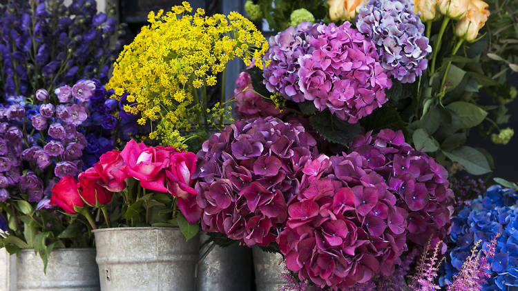 Mercado de las Flores