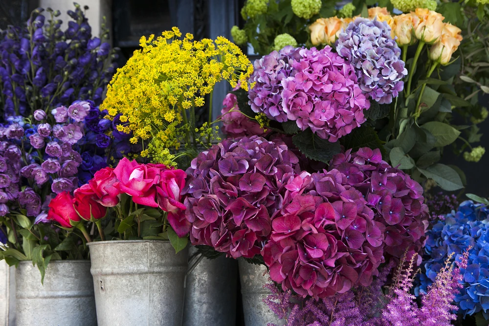Mercado de las Flores