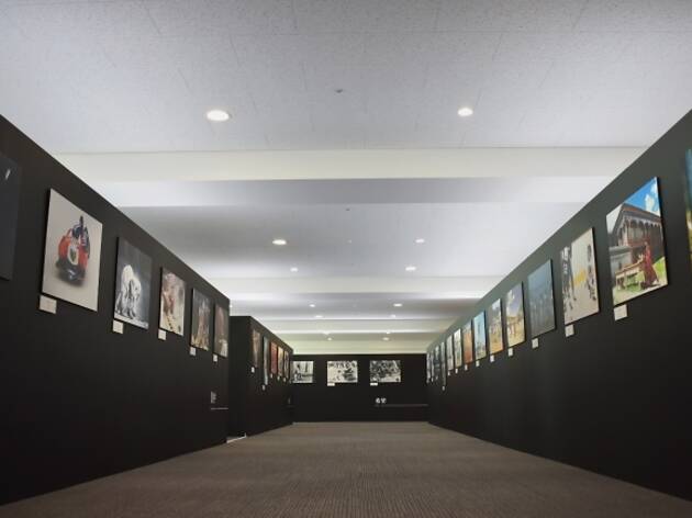 「スポーツの力」写真展 「スポーツの力」写真展