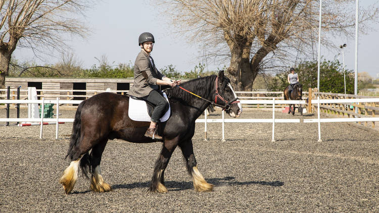 11.30am: Horse riding in Lee Valley