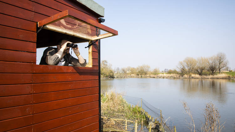 1pm: Birdwatching in Walthamstow