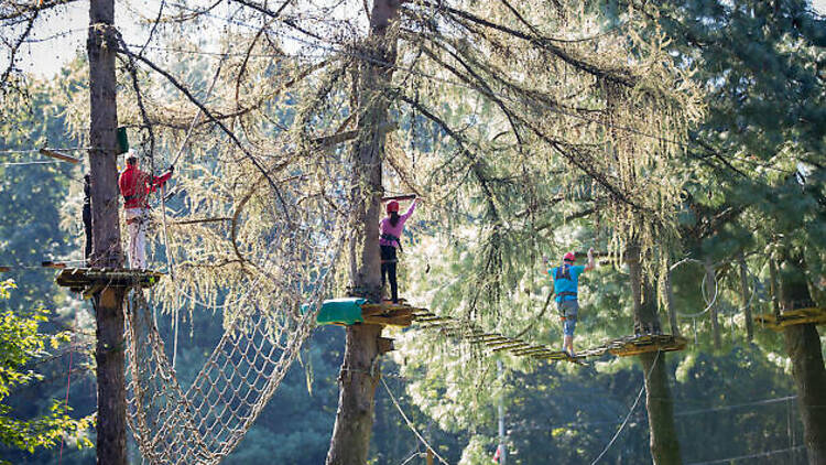 8. Test yourself on a treetop adventure