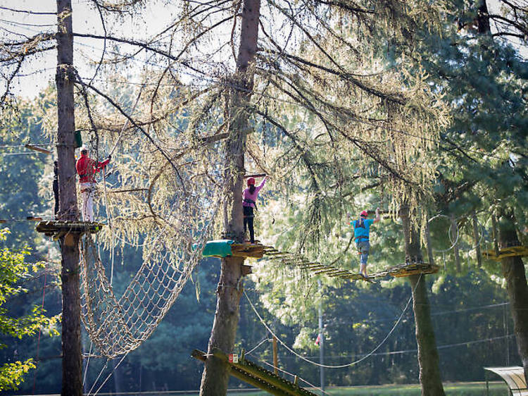 8. Test yourself on a treetop adventure