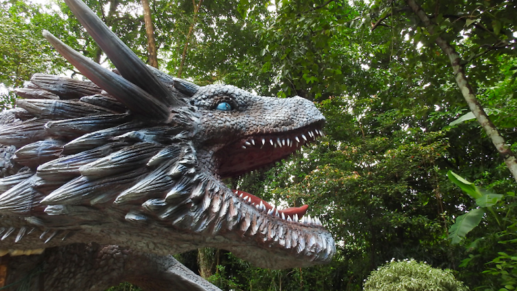 singapore zoo, dragons and beasts