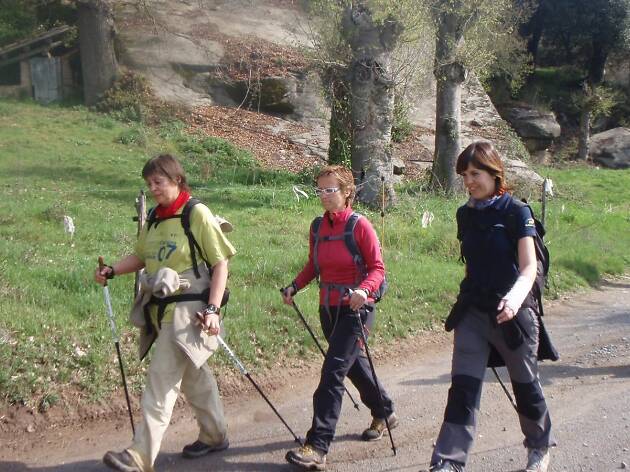 Nordic Walking Nordic Walking