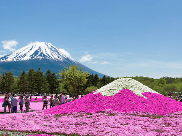 ゴールデンウイーク 小旅行したいイベント