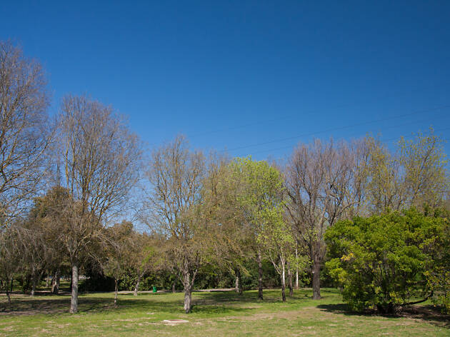 Parque del Alamillo Parque del Alamillo